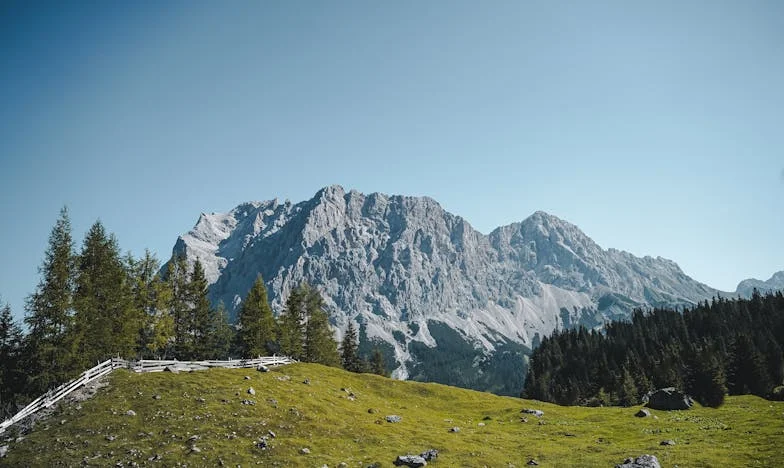 "My Husband, the Grown Man Who Acts Like a Child, Wants Us to Move to the Countryside"