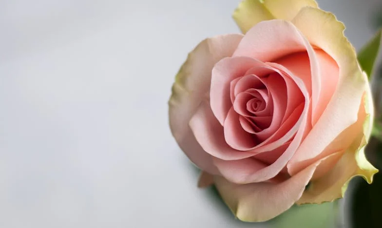 Help! My Neighbor Keeps Giving Me Gifts and My Husband is Furious